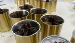 Молодежный совет Сахалинского областного союза организаций профсоюзов провел акцию по изготовлению окопных свечей &laquo;С теплом для НАШих&raquo;